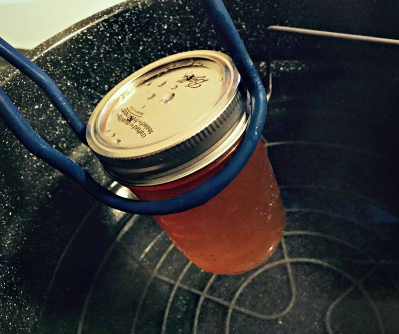 put hard cider jelly jars in canner