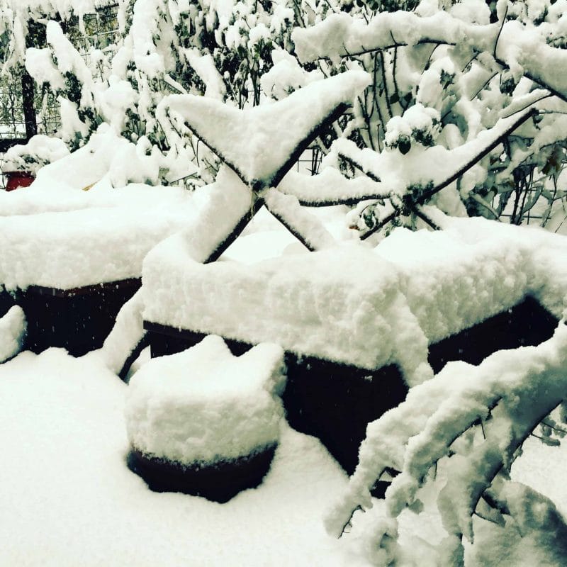 snow on garden beds