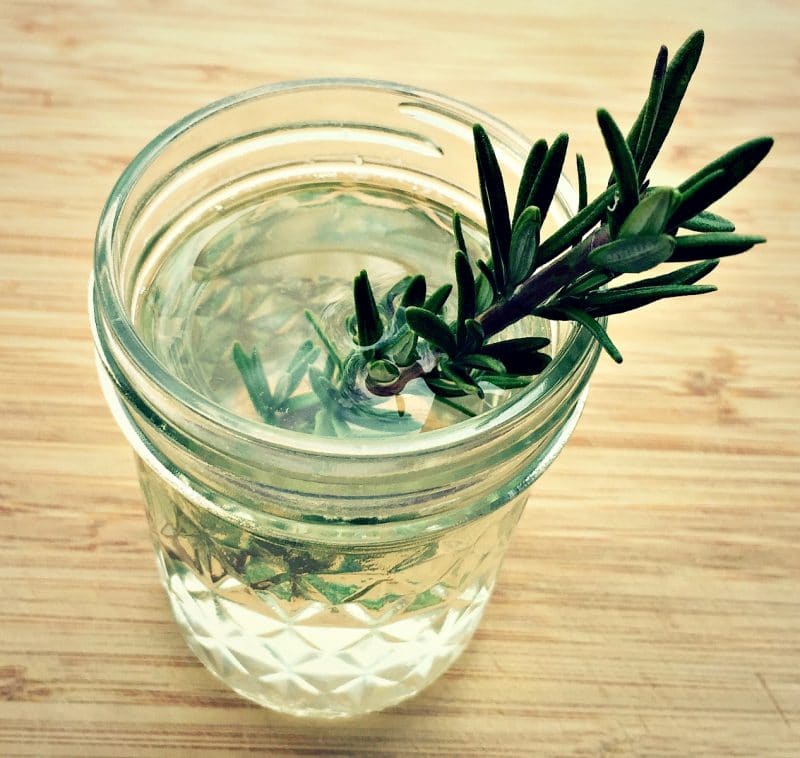 herb kvass in a glass with a sprig of rosemary for garnish