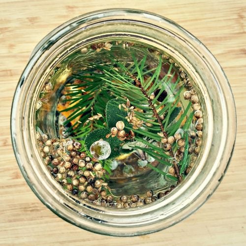 Homemade Infused Gin Foraged Botanical Winter Spirits