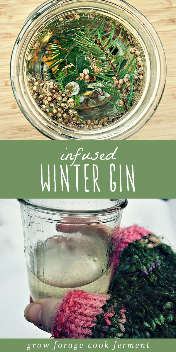 Have you ever made your own gin? It's so much fun, and so easy! This winter gin is infused with fresh foraged juniper berries, white fir, and lots of winter herbs and spices. It's refreshing and aromatic, and a perfect winter foraging recipe. This homemade infused winter gin is the perfect recipe for the holidays to indulge in yourself, or give as a gift. #gin #foraged #infusion #alcohol #cocktail #homemade