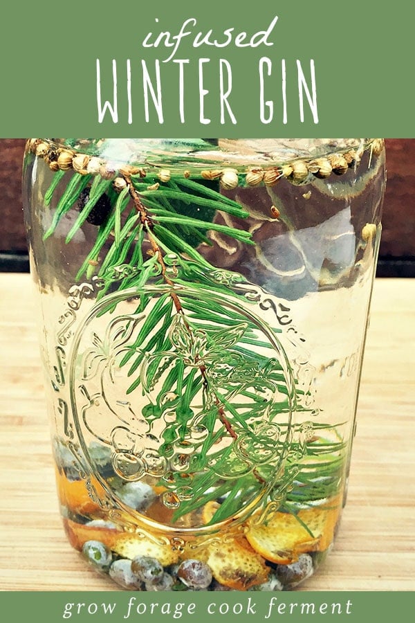 This winter gin is infused with fresh foraged juniper berries, white fir, and lots of winter herbs and spices. It's refreshing and aromatic, and a perfect winter foraging cocktail recipe. This homemade infused gin is the perfect recipe for the holidays to indulge in yourself or give as a gift! A jar of homemade gin infused with winter herbs.