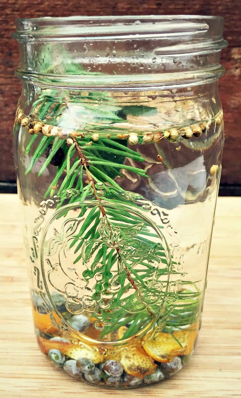 a jar of spices and a conifer sprig to make winter gin