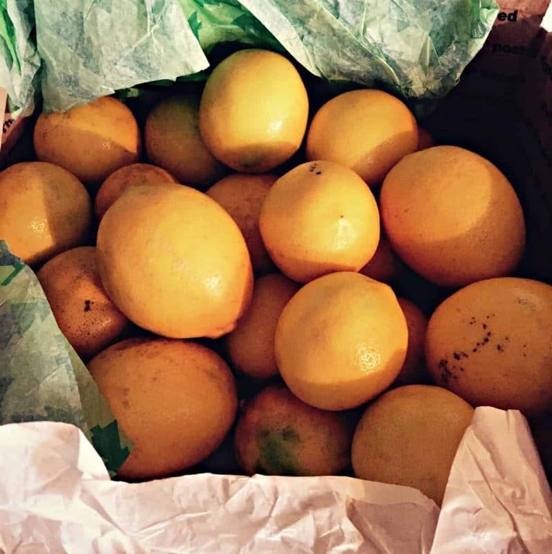 meyer lemons