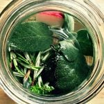 A jar of kvass fermenting with fresh herbs and a radish, top view.