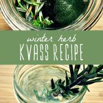 A jar of winter herbs infusing into kvass, and a jar of homemade herb kvass.