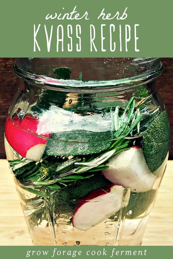 Winter is the perfect time to make this easy herb kvass recipe! Kvass is a bubbly, fermented drink that is traditionally made with beets, but can be made with any vegetable that ferments well. This fermented probiotic beverage is a wonderful winter drink with tons of health benefits, and the perfect drink to make for the holiday season A jar of infused winter herb kvass.
