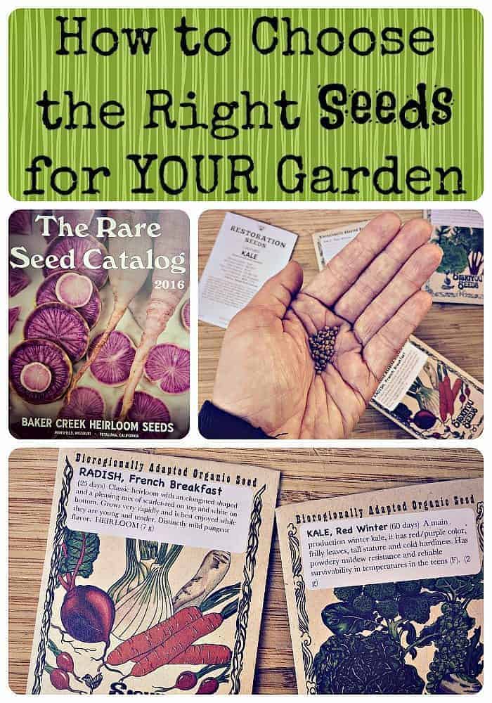 How to Choose the Right Seeds for Your Garden