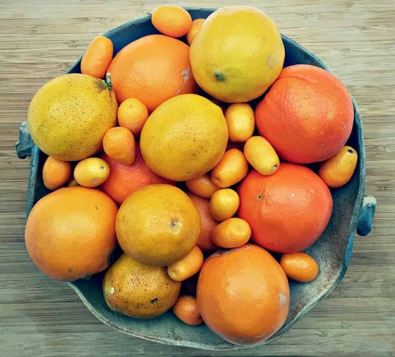 a bowl of various citrus