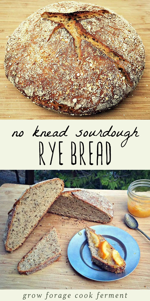 No Knead Sourdough Rye Bread