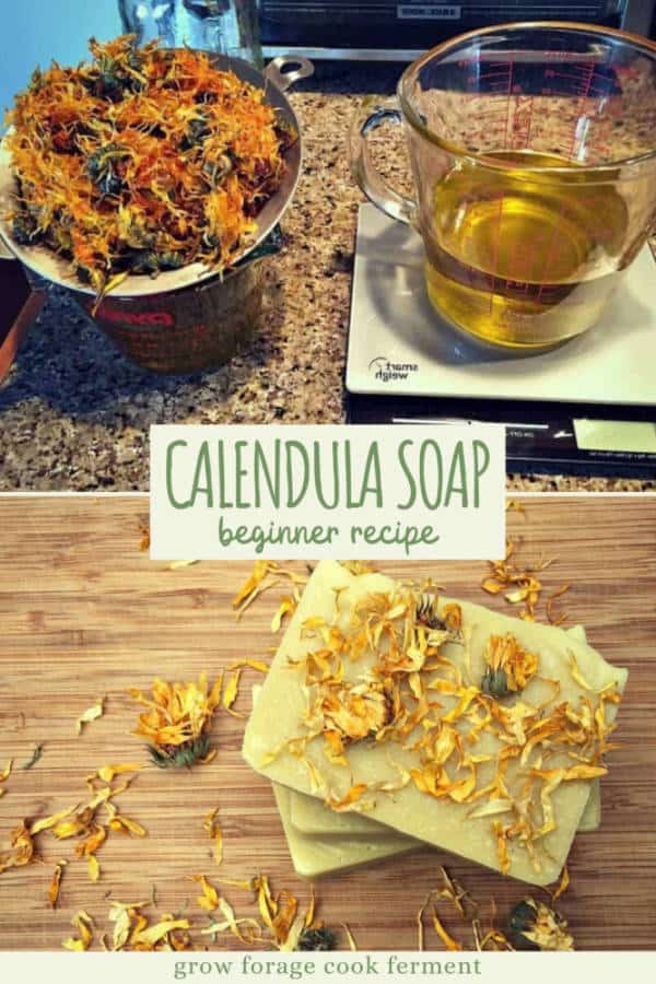 How To Make Soap For Beginners Calendula Soap Recipe how-to-make-soap-for-beginners-calendula-soap-recipe