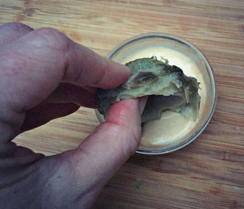 a hand dipping an artichoke heart in a prepared sauce
