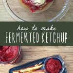 Fermented ketchup ingredients in a bowl, and a plate of fries with a side of fermented ketchup.