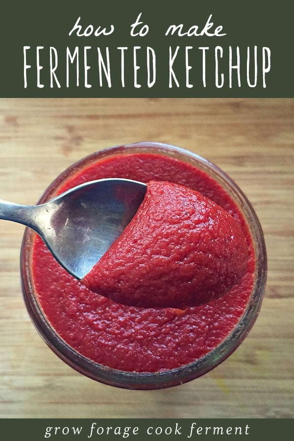 A jar of fermented ketchup.