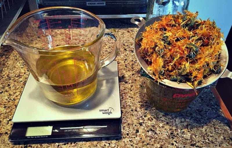weighing calendula oil for soap