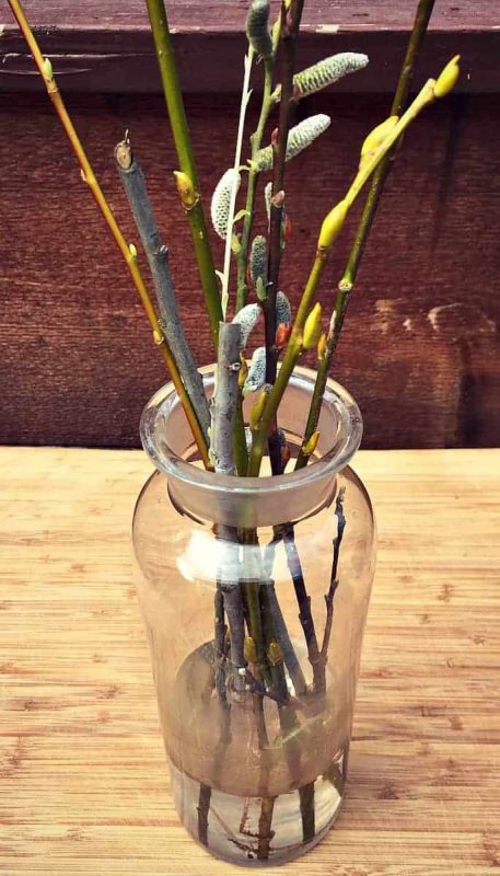 willow branches in vase