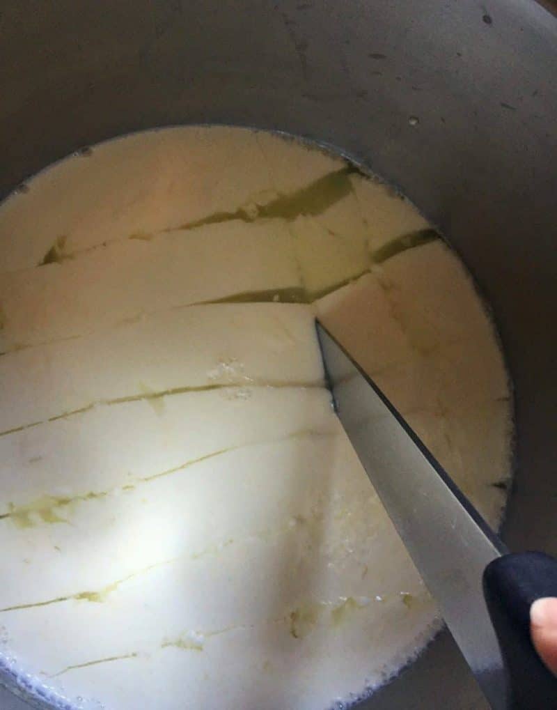a knife cutting the curdled cheese into cubes