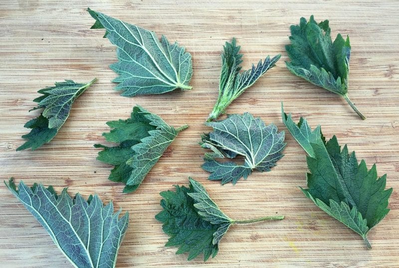 nettle leaves on a wooden board