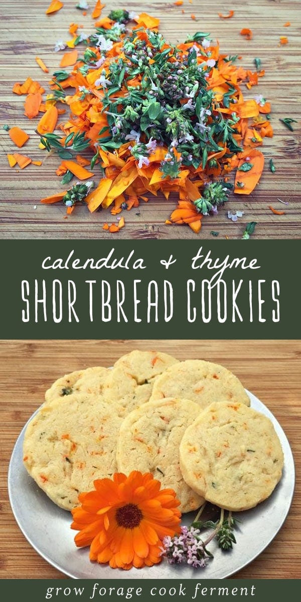 Use edible calendula flowers and savory thyme to make these delicious calendula and thyme shortbread cookies! #cookies #edibleflowers