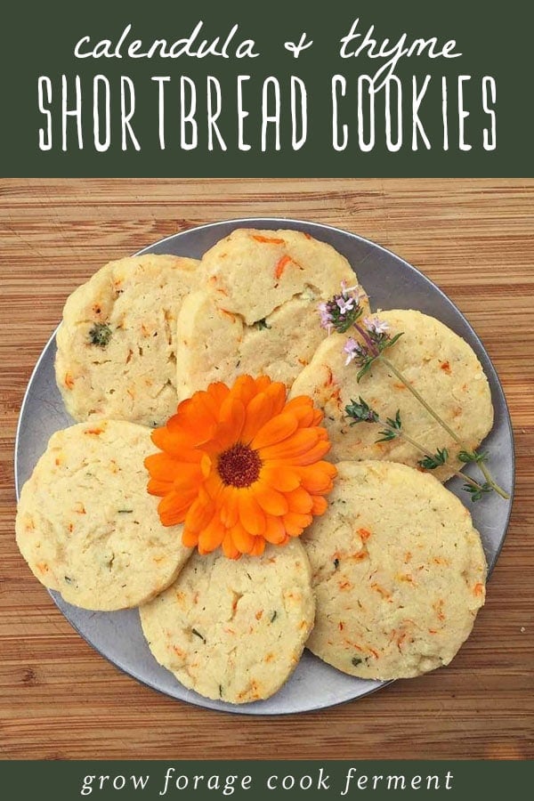 Use edible calendula flowers and savory thyme to make these delicious calendula and thyme shortbread cookies! #cookies #edibleflowers A plate of calendula and thyme shortbread cookies.