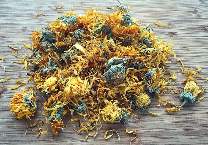 Calendula is a plant that everyone should have in their yard, for multiple reasons. Calendula is a versatile plant with many herbal, medicinal, and culinary uses. It's easy to grow in your backyard garden, and makes for both a beautiful and usefl companion plant. Learn all about this amazing edible, medicinal, and beautiful herb! #gardening #herbalism dried calendula