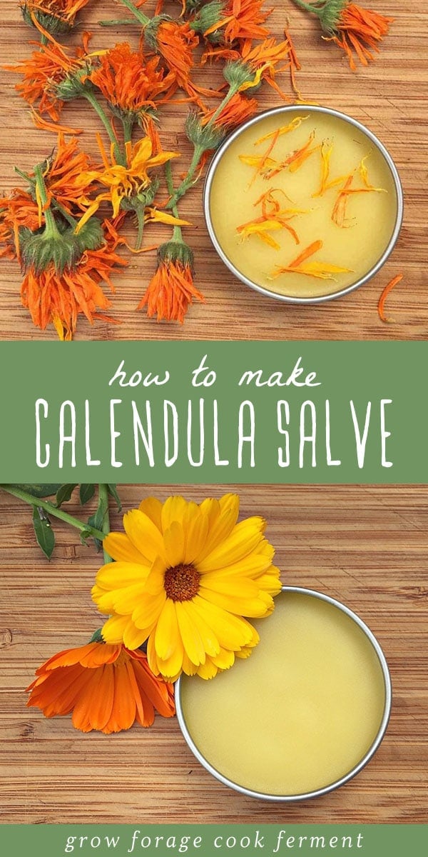 Calendula is a beautiful flower with powerful medicinal benefits. It's often used in natural remedies, salves, and creams, and is a terrific herb to have in your herbal medicine cabinet. Make the best use of its healing powers with this easy calendula salve. #herbalism #calendula