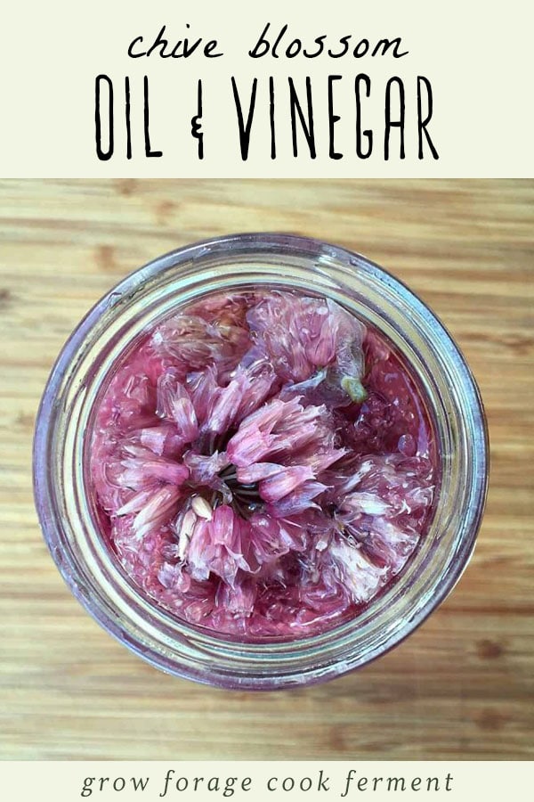 If your chives are blooming with many flowers, make this chive blossom oil and vinegar. It's an easy infusion recipe, and perfect for making salad dressings! #infusion #edibleflowers