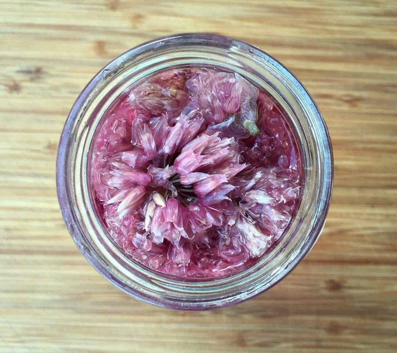 top view of a jar of chive blossom vinegar