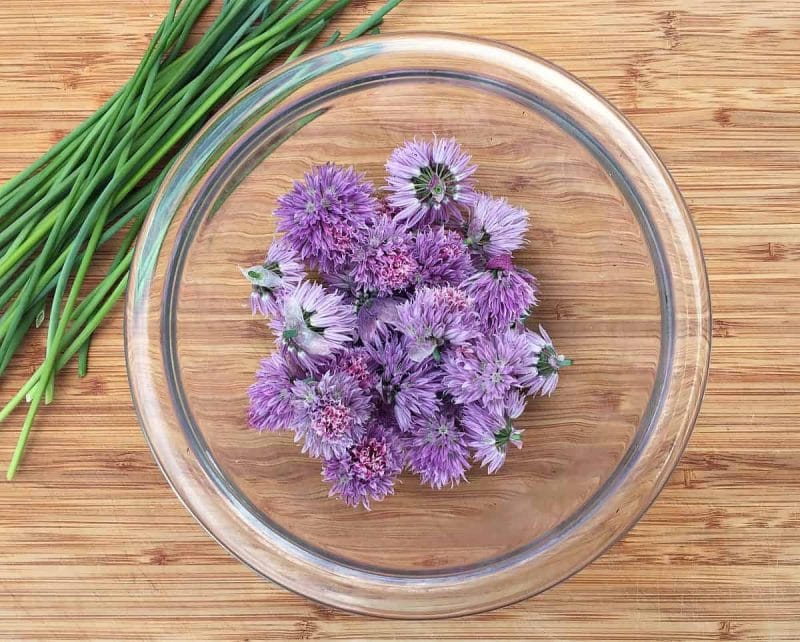 chive blossoms in bowl