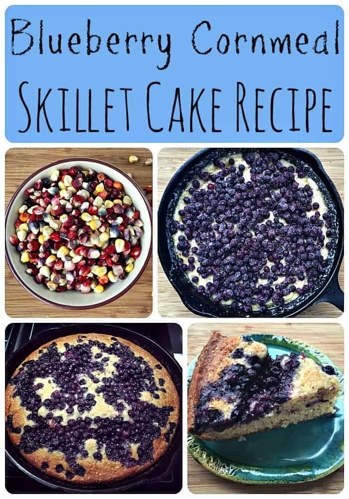 Blueberry Gluten Free Skillet Cake Blueberry Gluten Free Skillet Cake