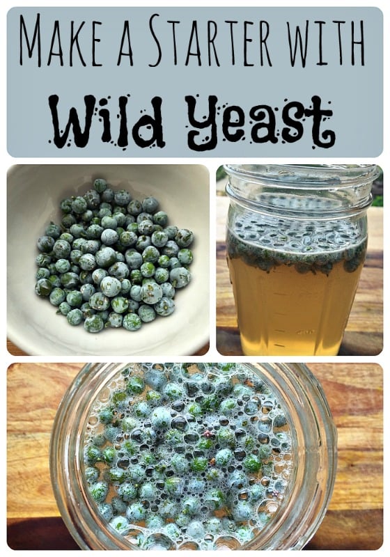 How to Make a Wild Yeast Starter