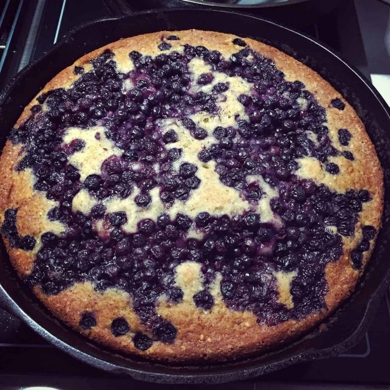 blueberry cornmeal cake fresh out of the oven