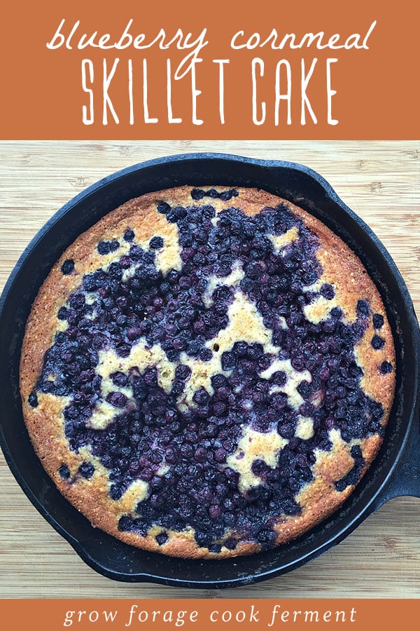 This blueberry cornmeal skillet cake is the perfect summer dessert recipe! Made with cornmeal, fresh blueberries, honey, yogurt, and other real, whole food ingredients, this cake is not too sweet and so easy to make. It's a great cast iron skillet recipe with such a beautifully rustic presentation. Blueberry cornmeal cake in a cast iron skillet.