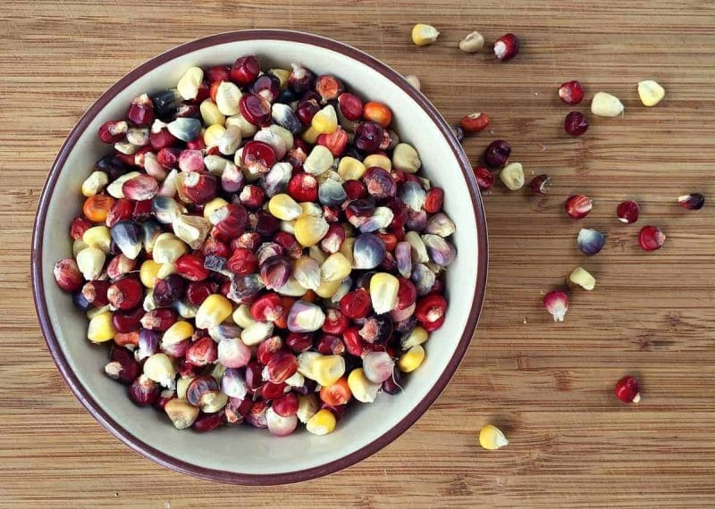 a bowl of rainbow colored flour corn kernals