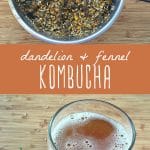 Dandelion and fennel steeping with tea in a pot, and a glass of dandelion and fennel kombucha.