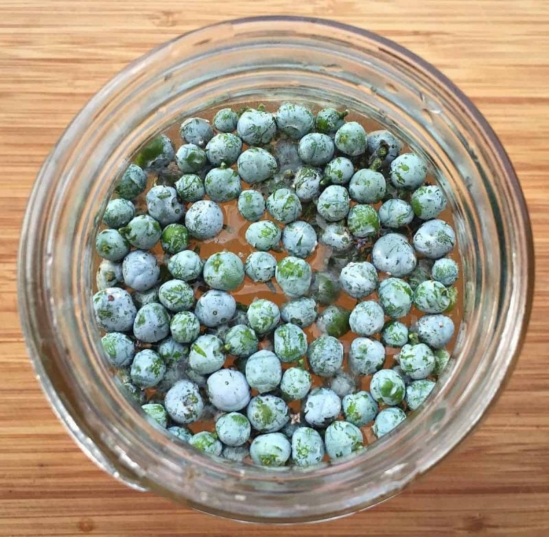 juniper berries and sugar solution in a jar