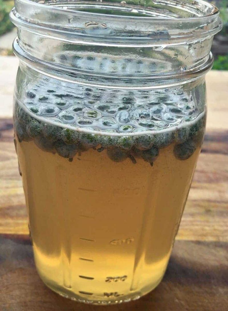 little bubbles forming in the jar