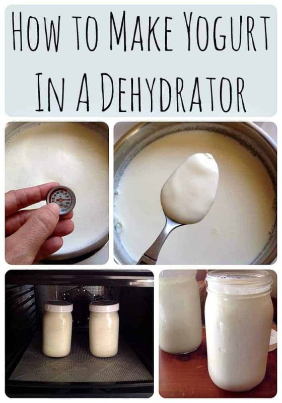 Making Yogurt In Excalibur Food Dehydrator Making Yogurt In Excalibur Food Dehydrator