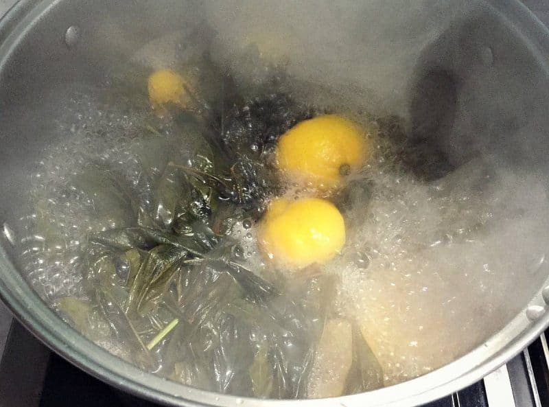 boil mugwort and lemons in a pot