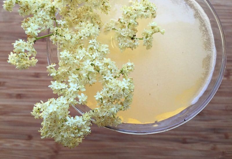 sparkling elderflower mead served in a glass