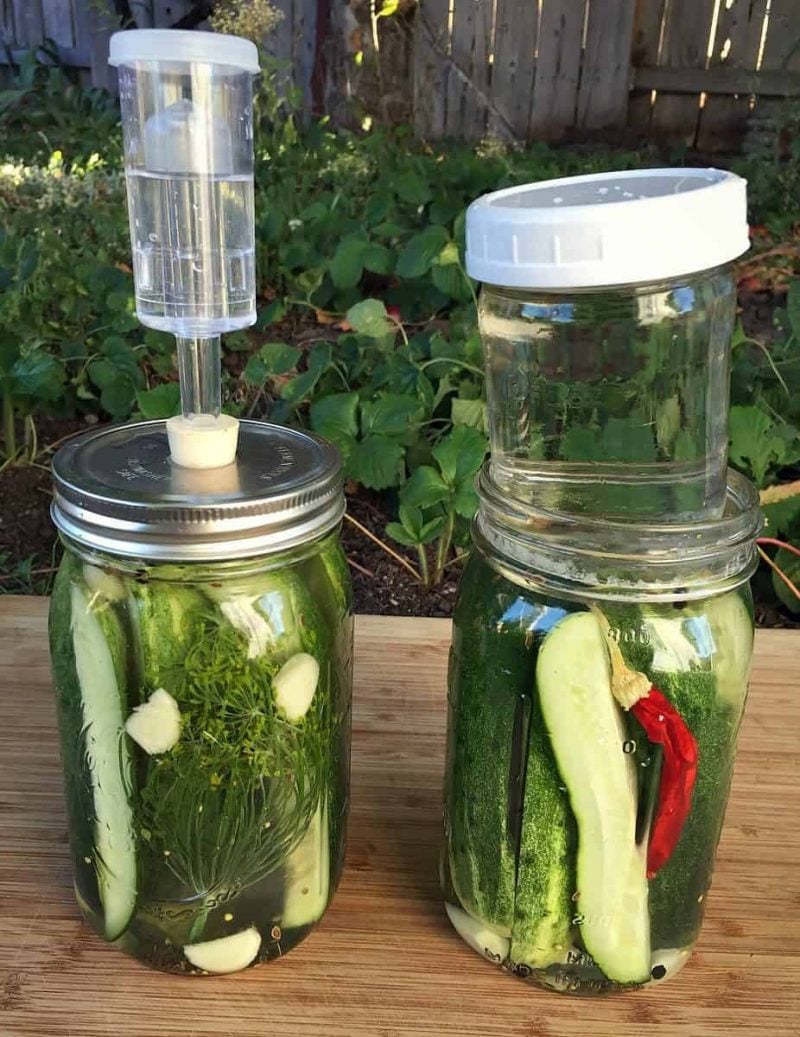fermenting cucumbers