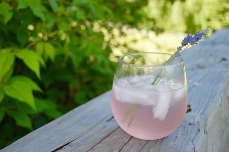lavender rose cocktail