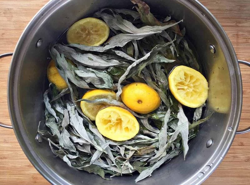 dried mugwort and lemons in a pot