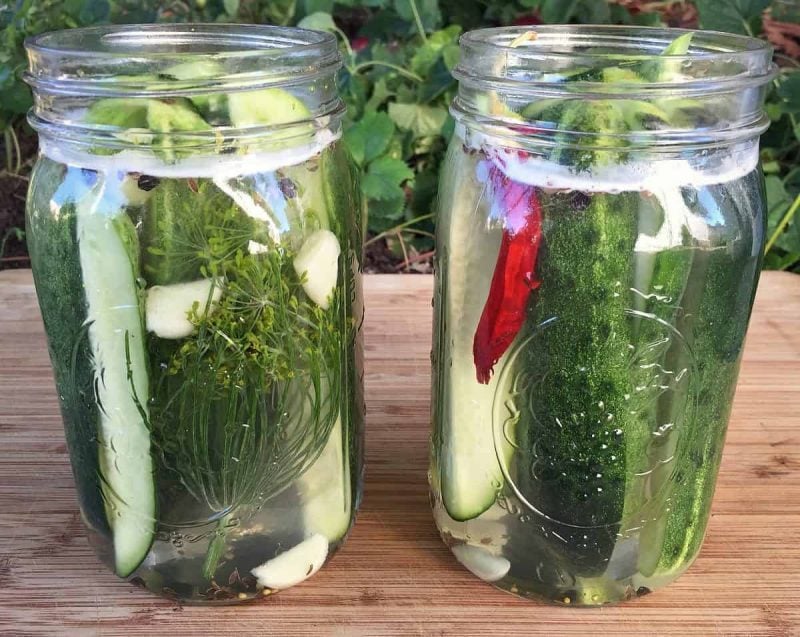 pickling cucumbers in brine