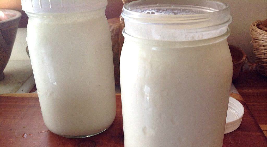 How to Make Yogurt in a Dehydrator