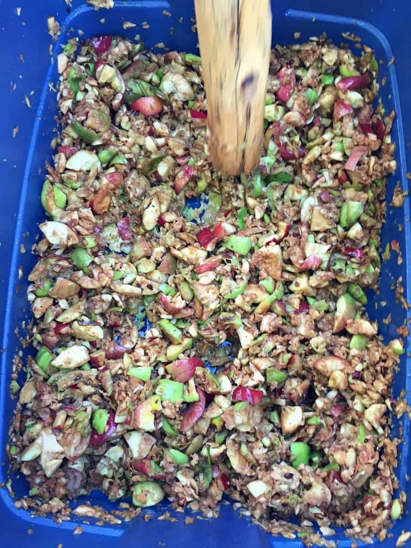 mashing apples with a big stick