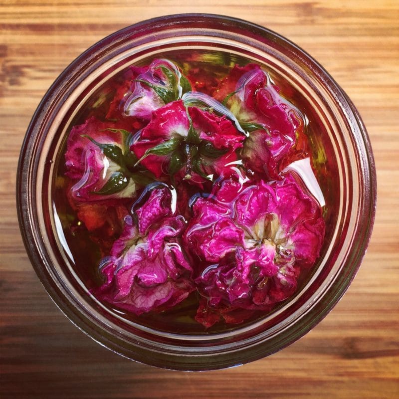 rose infused oil
