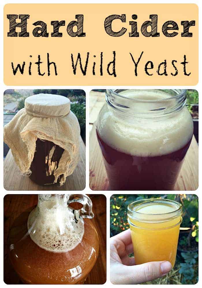 How to Make Hard Cider With Wild Yeast