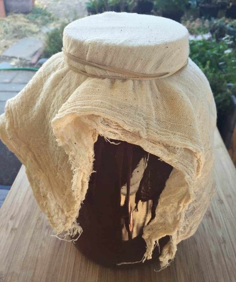 a jar of cider covered with a cheesecloth to ferment