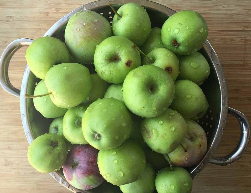 apples in a colander